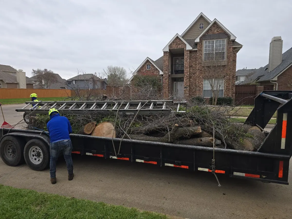 Expert Tree Fertilization with proper safety equipment in Yuma